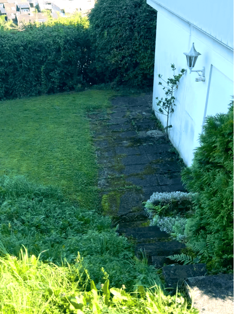 Einliegerwohnung: separater Eingang sowie Zugang zum unteren Garten