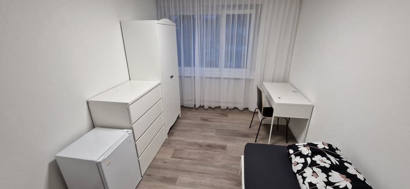 möblierte Businesszimmer, Monteurzimmer (Achtung: gemeinsame Küche und Bad)) (13)