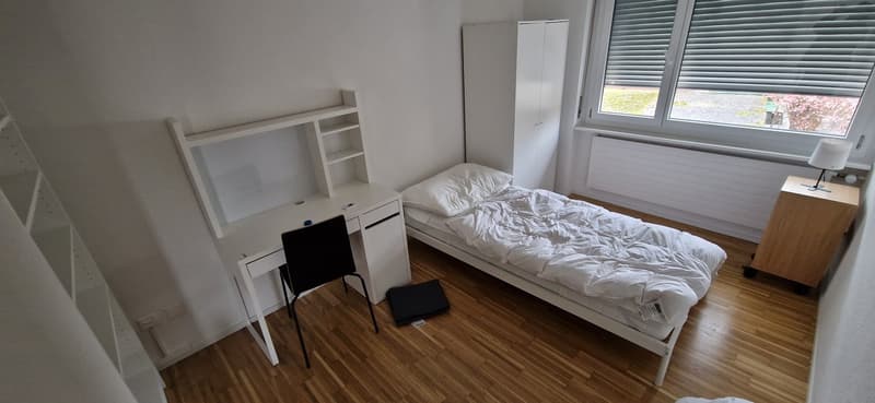 möblierte Businesszimmer, Monteurzimmer (Achtung: gemeinsame Küche und Bad)) (10)