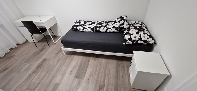 möblierte Businesszimmer, Monteurzimmer (Achtung: gemeinsame Küche und Bad)) (12)