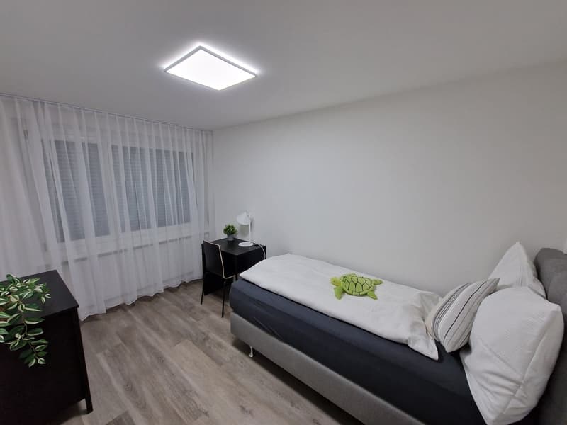 The image shows a modern and minimalist bedroom with a gray bed frame, white bedding, and a green decorative turtle on the bed. The room has white walls, a large window with sheer curtains, and a black nightstand. The floor is made of light-colored wood-l
