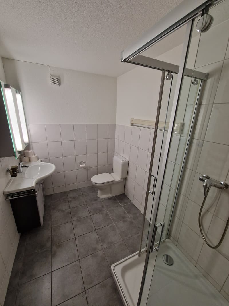 Monteurzimmer Zimmer möbliert, (Achtung: Mitbenützung von Küche und Bad ) (10)
