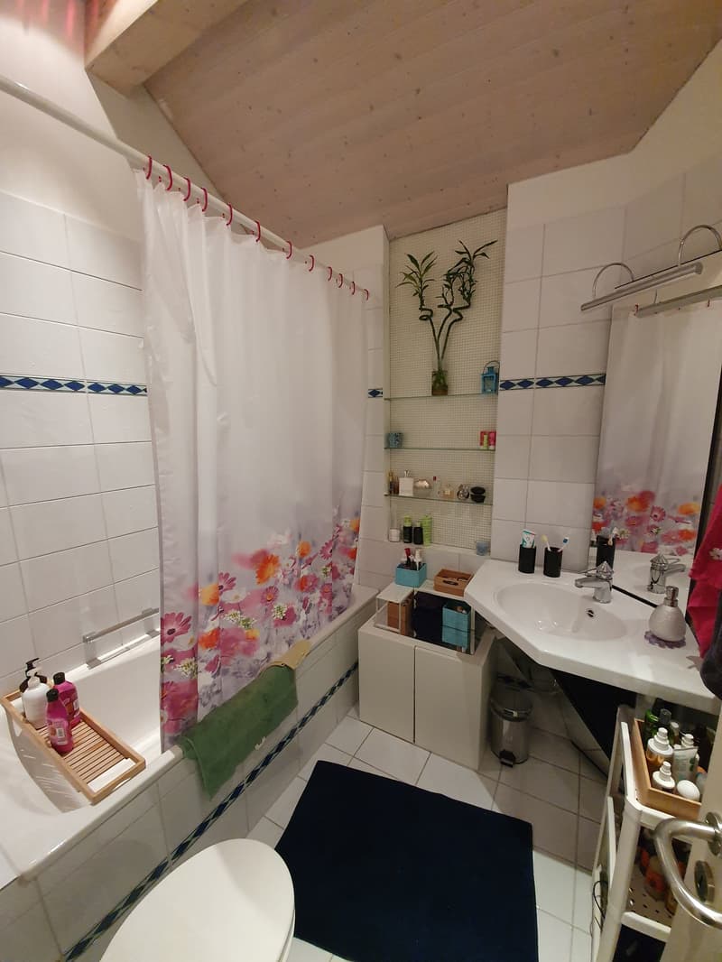 helle sonnige Wohnung mit Balkon (ohne Lift), Datum nach Vereinbarung (7)