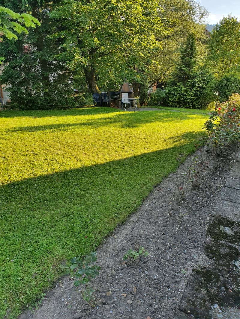 helle sonnige Wohnung mit Balkon (ohne Lift), Datum nach Vereinbarung (14)