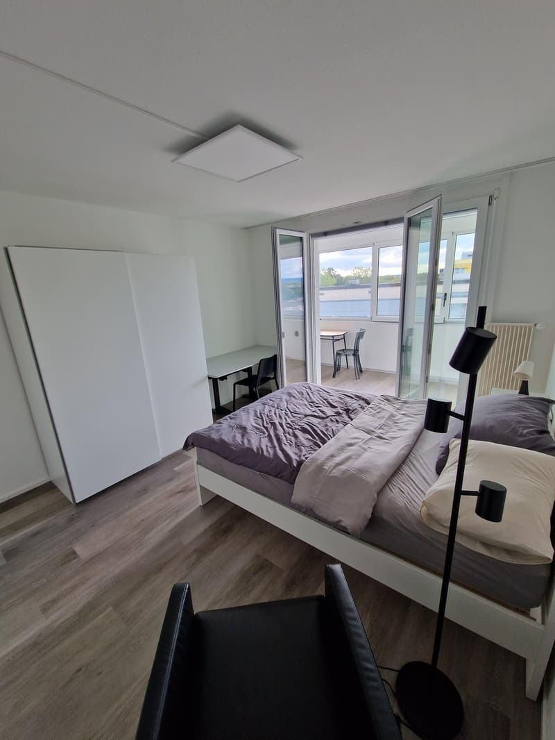 möbliertes Zimmer (Monteurzimmer) (Businesszimmer) Achtung das ist keine Wohnung! (4)