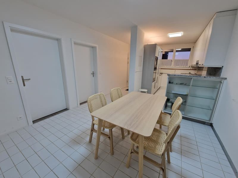 möbliertes Zimmer (Monteurzimmer) (Businesszimmer) Achtung das ist keine Wohnung! (10)