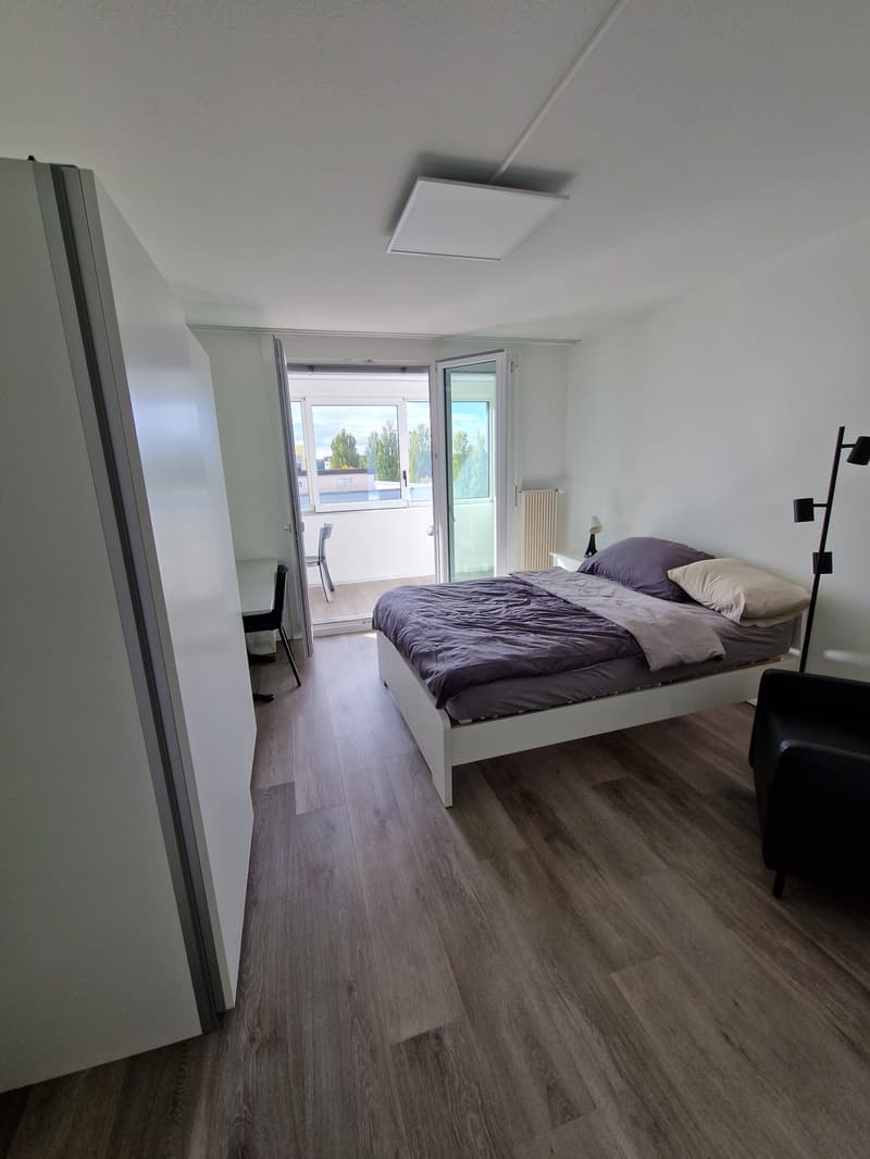 möbliertes Zimmer (Monteurzimmer) (Businesszimmer) Achtung das ist keine Wohnung! (3)