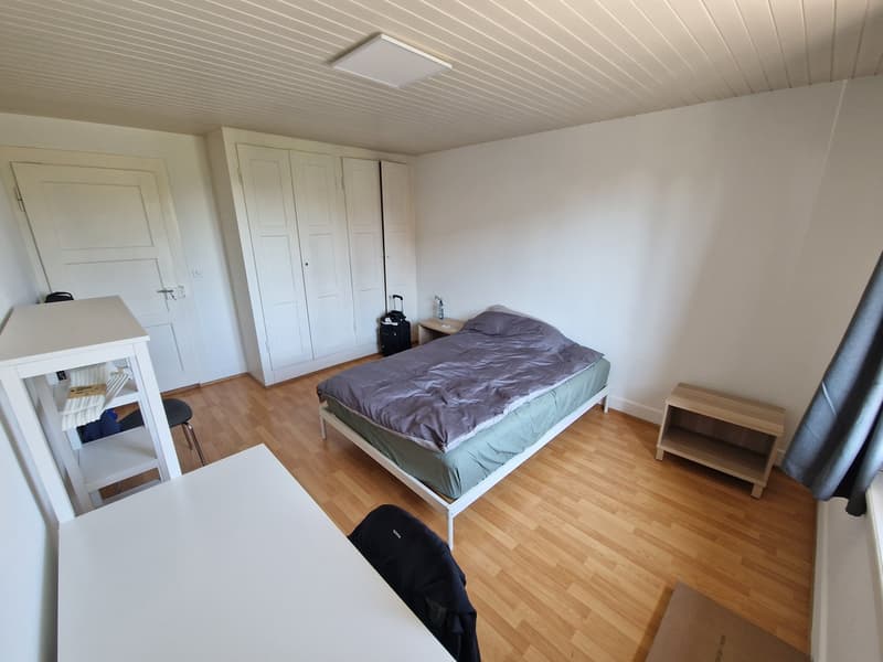 Einzelzimmer in einer möblierten 2-Zimmer-Wohnung, zentral, Nähe Bern (1)