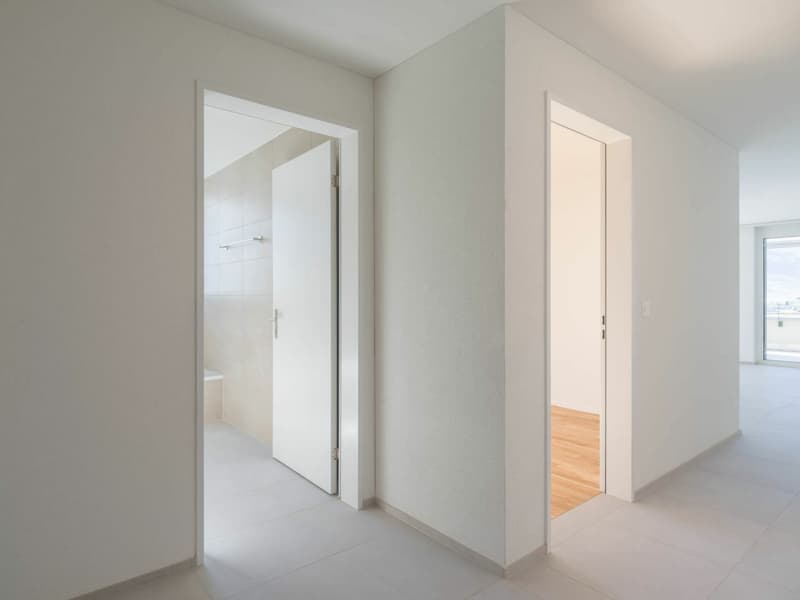 Primo affitto: appartamento mansardato di 2,5 locali con vista lago e montagna (13)