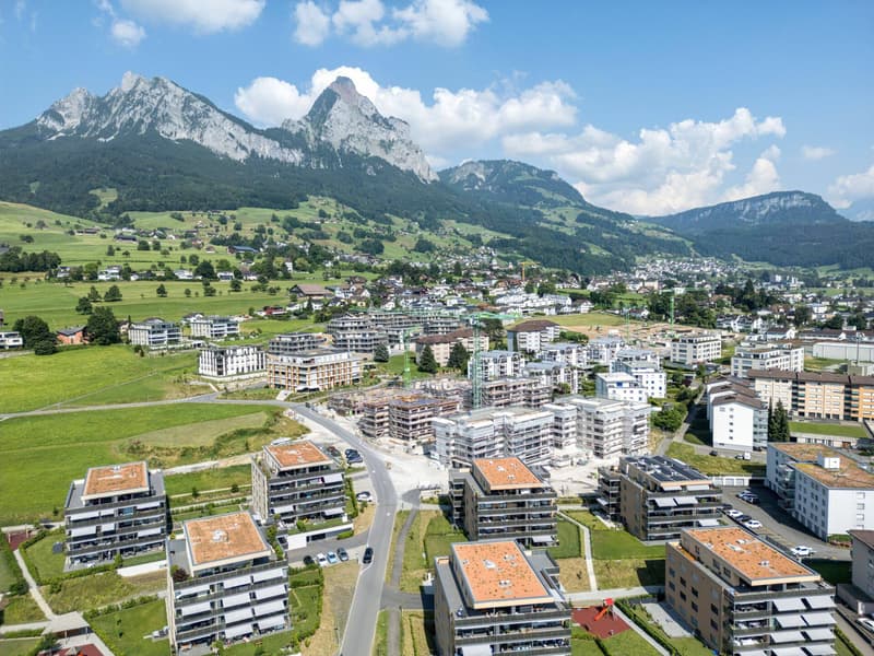 Appartamento in mansarda moderno di 3,5 locali con terrazza spaziosa (11)