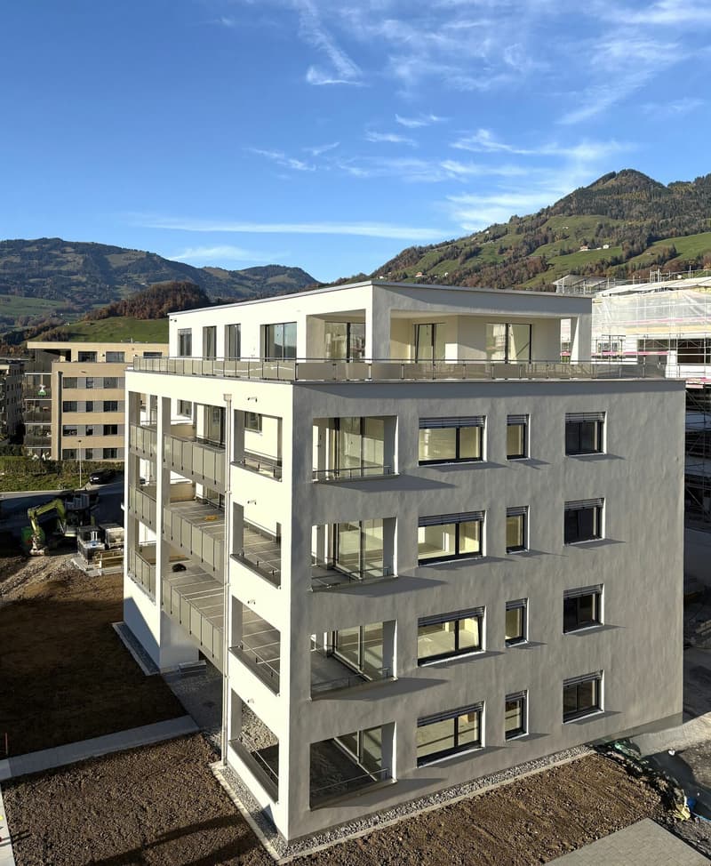 Erstvermietung: 2.5-Zimmer-Attikawohnung mit Bergblick (11)
