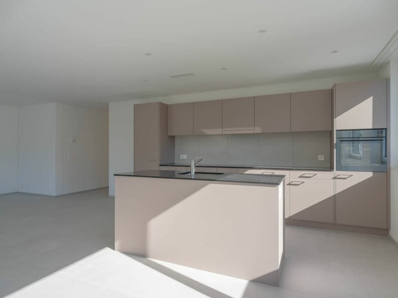 Attraktive Erstvermietung - 5.5-Zimmerwohnung mit Loggia (1)