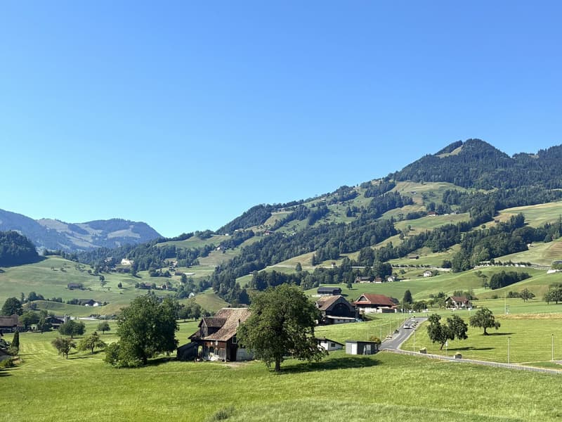 Feld Seewen