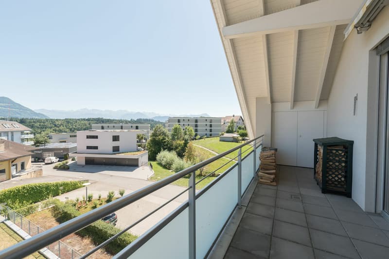 Grosszügige 4.5-Zimmer-Attika-Wohnung mit zwei Tiefgaragenplätzen, zwei Kellern (10)