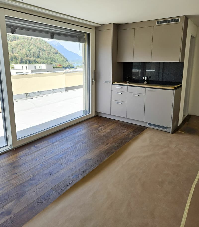 8.5-Zimmer-Doppeleinfamilienhaus mit exklusivem Attikageschoss (1)