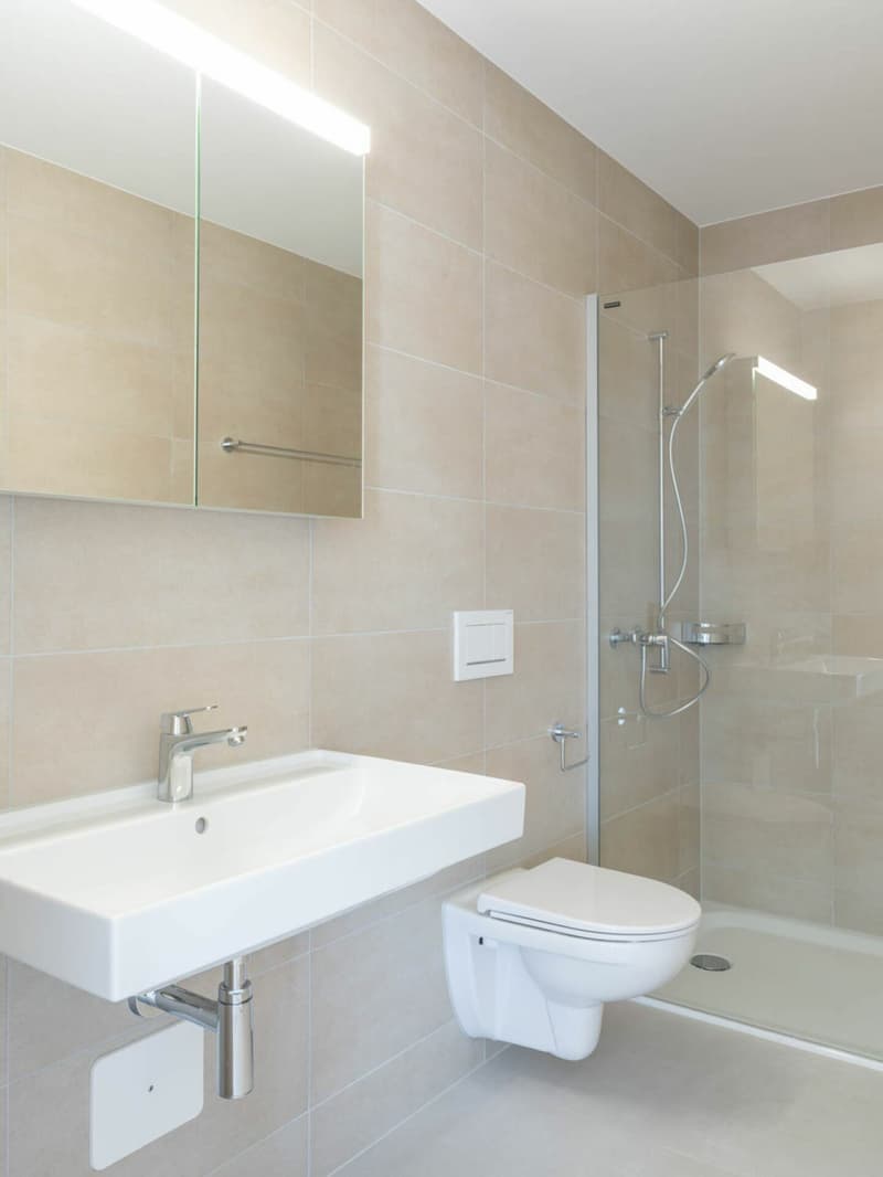 Erstvermietung: moderne 4.5-Zimmerwohnung (8)