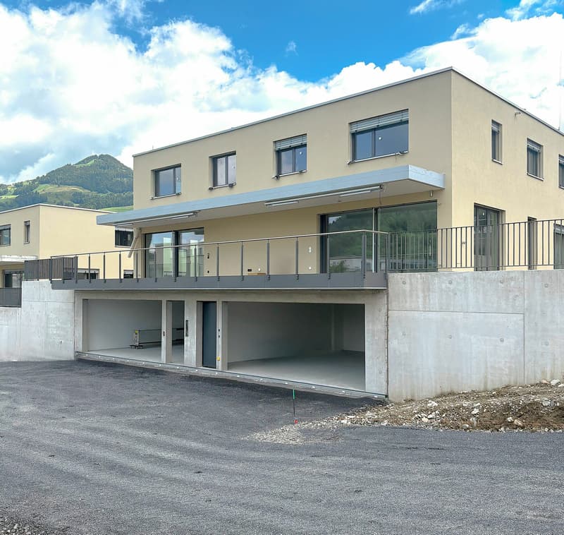 Neues 8.5-Zimmer-Doppeleinfamilienhaus mit grosszügigem Garten (2)