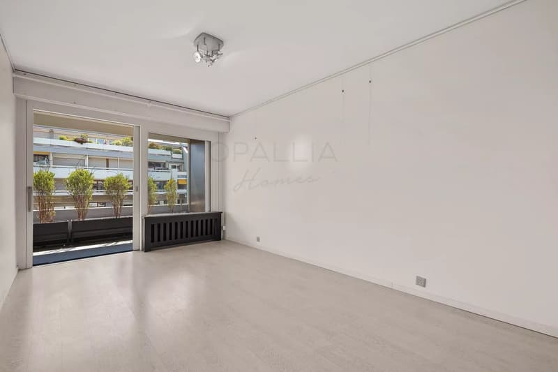 Schönes Apartment mit Blick auf den Jet d'Eau - Champel (9)