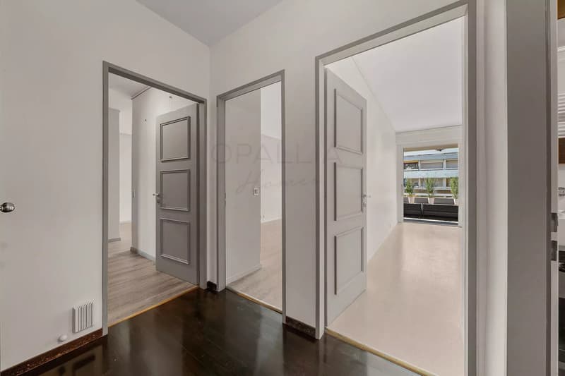 Schönes Apartment mit Blick auf den Jet d'Eau - Champel (6)
