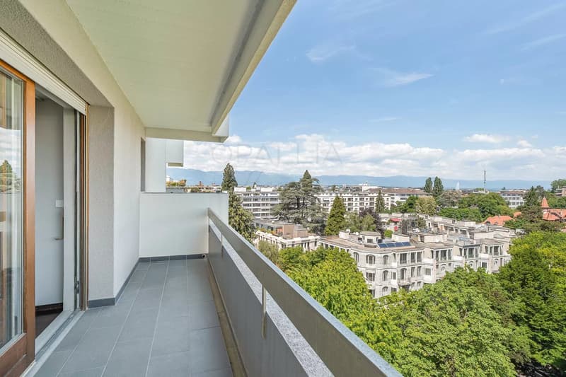 Schönes Apartment mit Blick auf den Jet d'Eau - Champel (4)