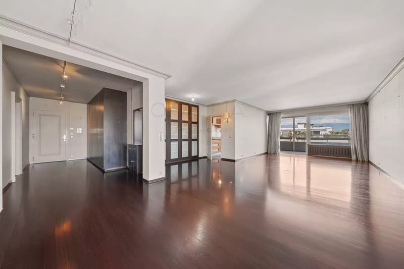 Schönes Apartment mit Blick auf den Jet d'Eau - Champel (2)
