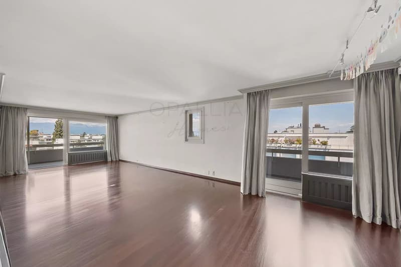Schönes Apartment mit Blick auf den Jet d'Eau - Champel (3)