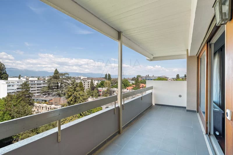 Schönes Apartment mit Blick auf den Jet d'Eau - Champel (5)