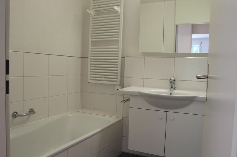 Apartment in a quiet sunny location (7)
