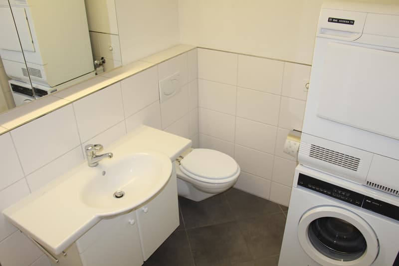Apartment in a quiet sunny location (8)