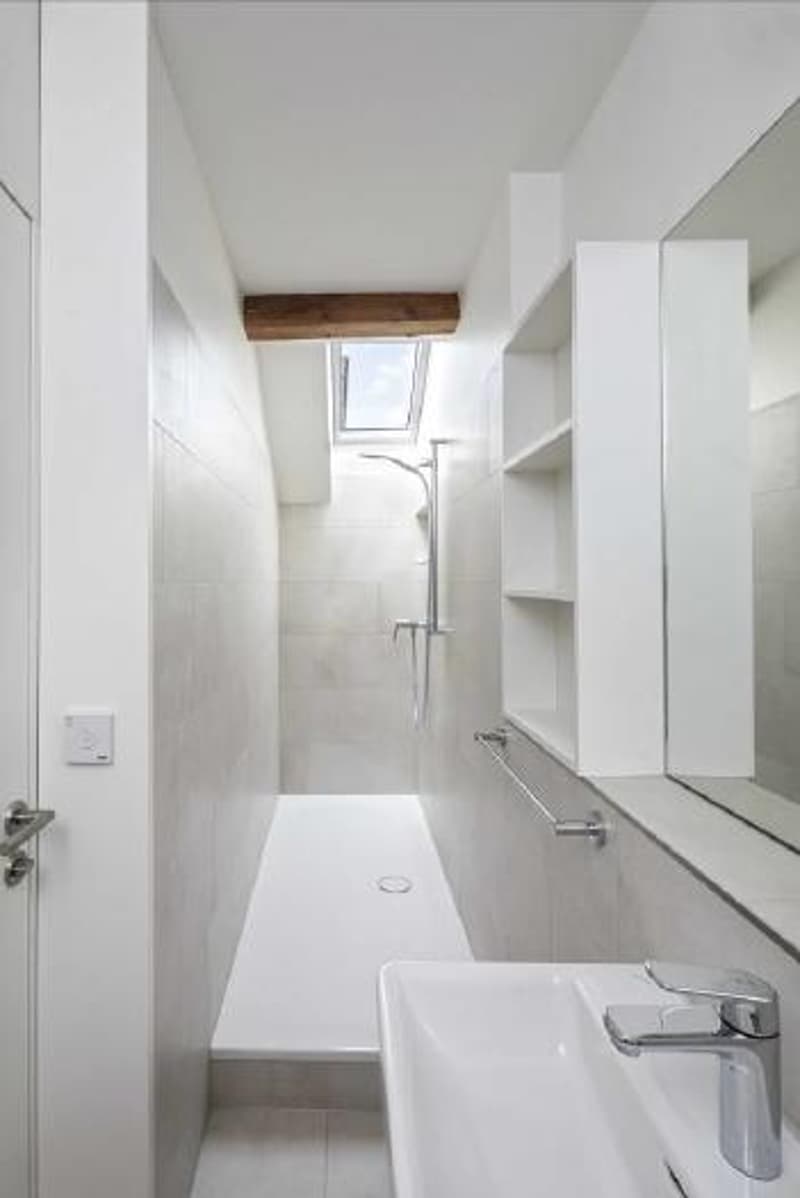Appartamento mansardato elegantemente ristrutturato su Wasgenring (5)