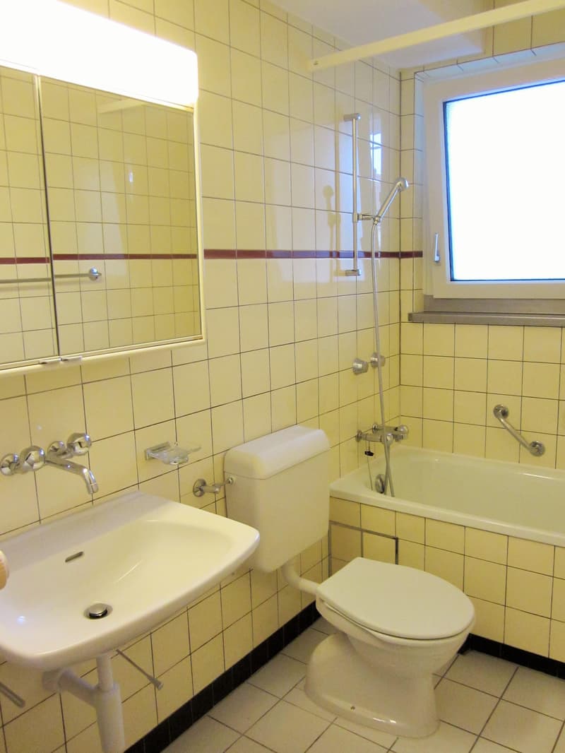 Bright apartment near Rhine Promenade (5)