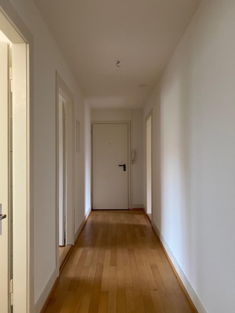 Bright apartment near Rhine Promenade (3)