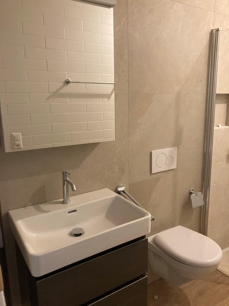 1.0 bedroom apartment in Basel (4)