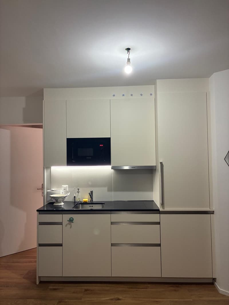 1.0 bedroom apartment in Basel (5)