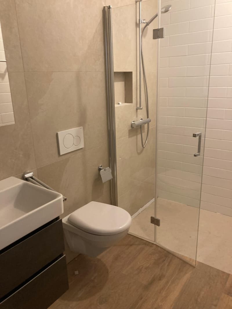 1.0 bedroom apartment in Basel (3)