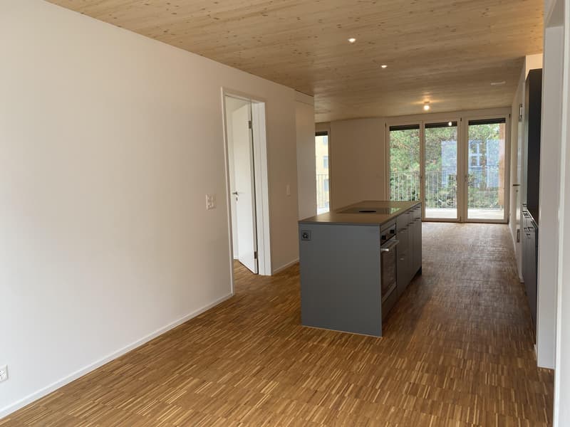 Moderne Wohnung mit grossem Balkon (3)