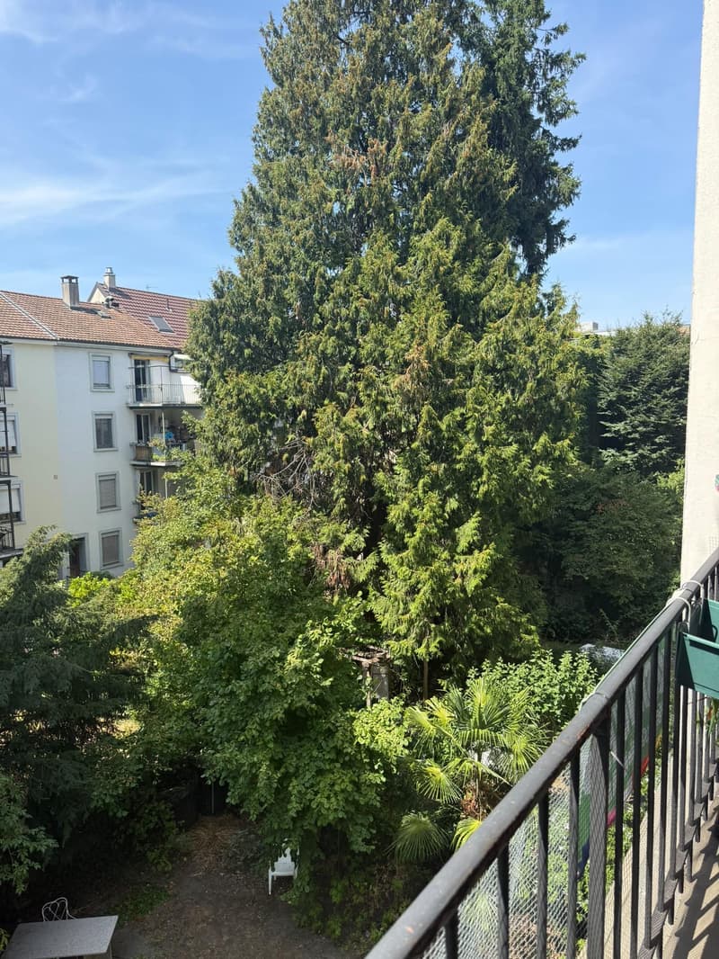Helle 3-Zimmer-Wohnung Nähe Bahnhof SBB (8)