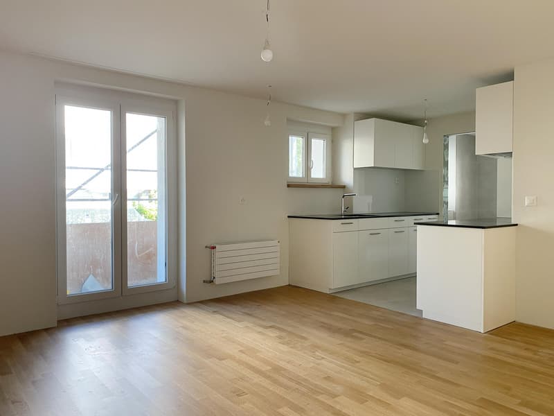 Premier occupation après rénovation complète, appartement 1 pièce moderne (1)