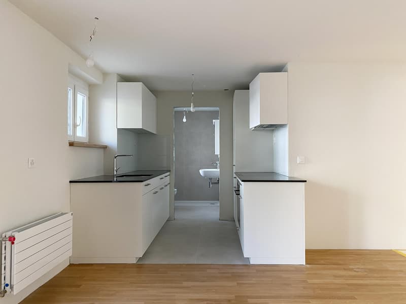 Premier occupation après rénovation complète, appartement 1 pièce moderne (2)