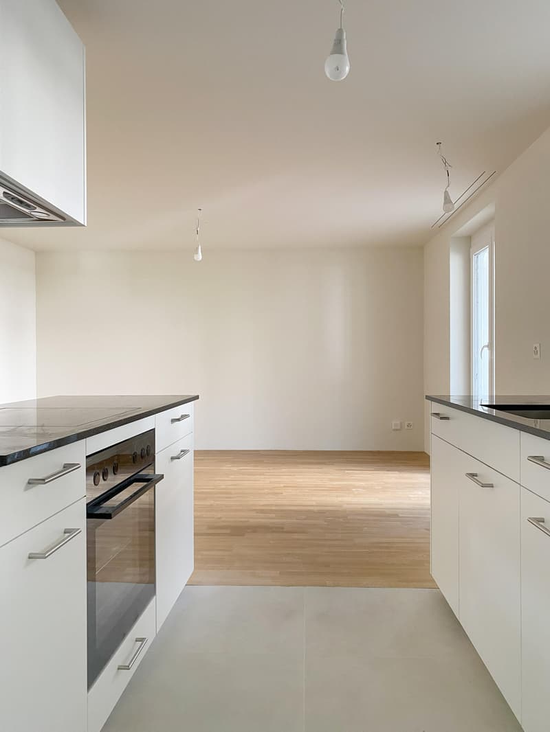 Premier occupation après rénovation complète, appartement 1 pièce moderne (3)