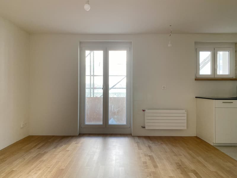 Premier occupation après rénovation complète, appartement 1 pièce moderne (4)