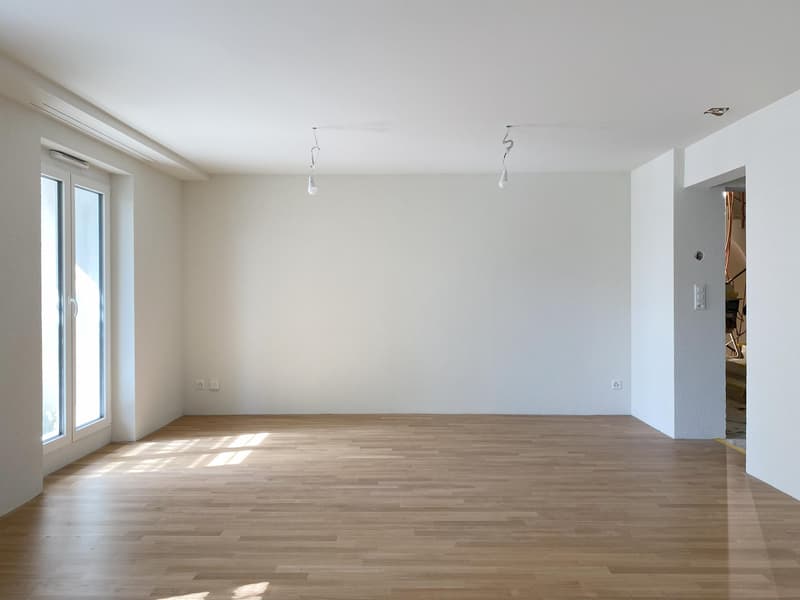 Erstbezug nach Totalsanierung Moderne 2.5-Zimmerwohnung (2)
