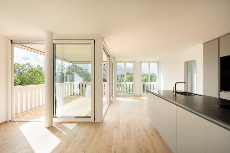 3.0 Zimmerwohnung in Basel (5)