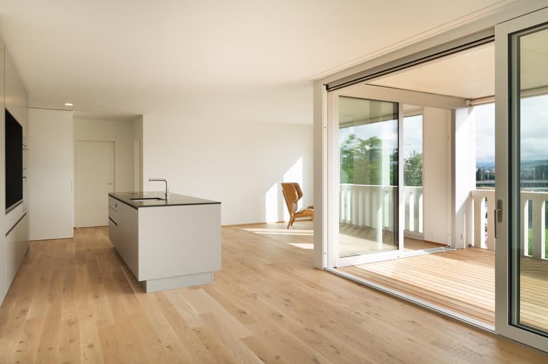 3.0 Zimmerwohnung in Basel (3)