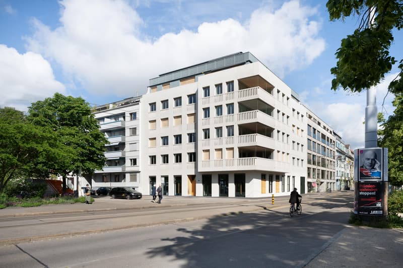 3.0 Zimmerwohnung in Basel (11)