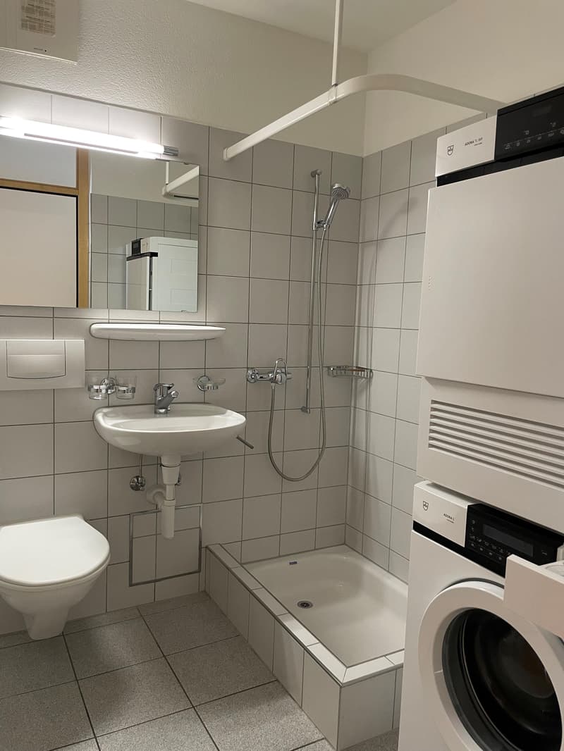 Grosse Familienwohnung mit Garten (4)
