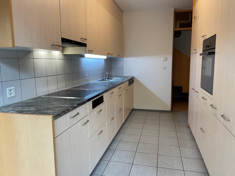 Grosse Familienwohnung mit Garten (7)