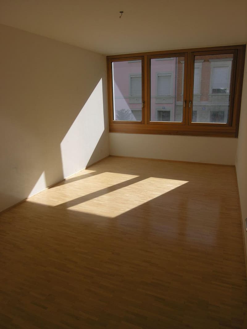 Grosse Familienwohnung mit Garten (10)