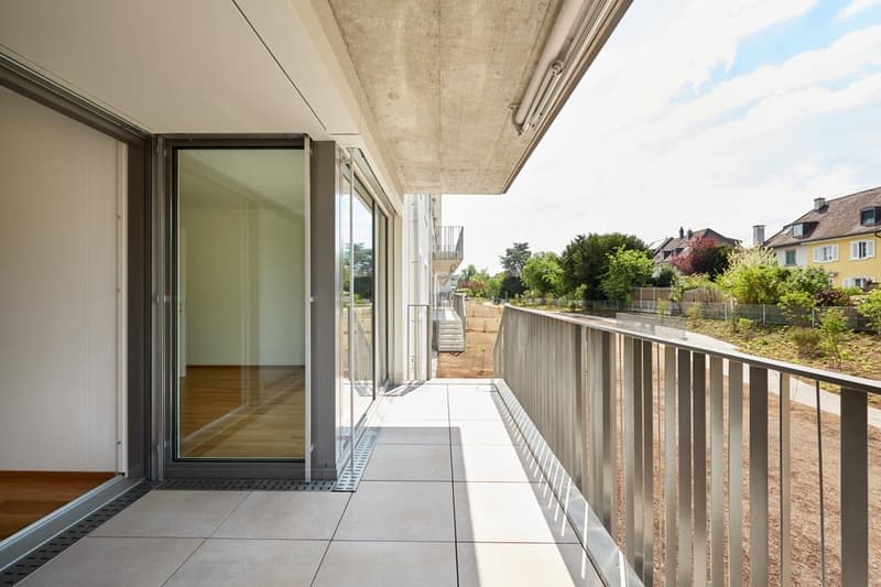5-Zimmer-Gartenwohnung in Riehen (1)