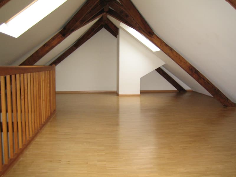 originelle Dachwohnung mit Galerie (4)